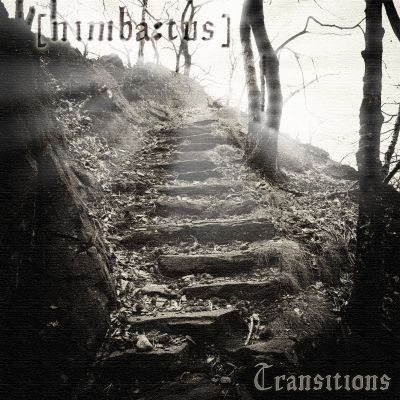 Nimbatus - Transitions
