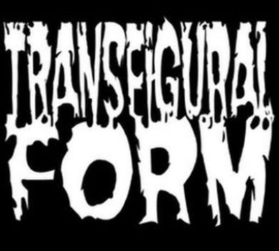 Transfigural Form - The Destructive Collection
