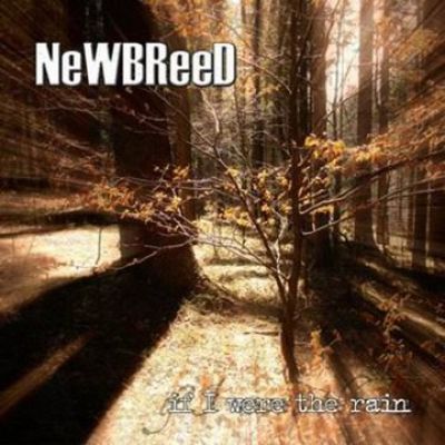 NewBreed - If I Were the Rain