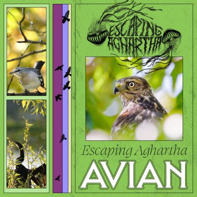 Escaping Aghartha - Avian