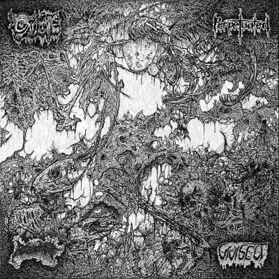 Perpetuated / Blood Spore / Oxalate / Vivisect - Oxalate / Perpetuated / Blood Spore / Vivisect