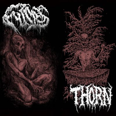 Fumes / Thorn - Fumes / Thorn
