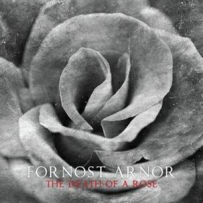 Fornost Arnor - The Death of a Rose