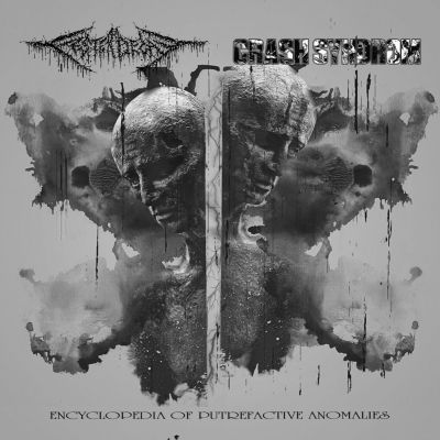 Fester Decay / Crash Syndrom - Encyclopedia of Putrefactive Anomalies