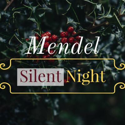 Mendel - Silent Night