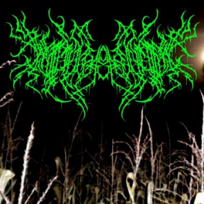 Insidious Asphyxiation - Tales from the Cornfield