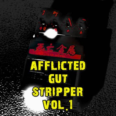 Afflicted Truth / Skinstripper - Afflicted Gut Stripper Vol. 1