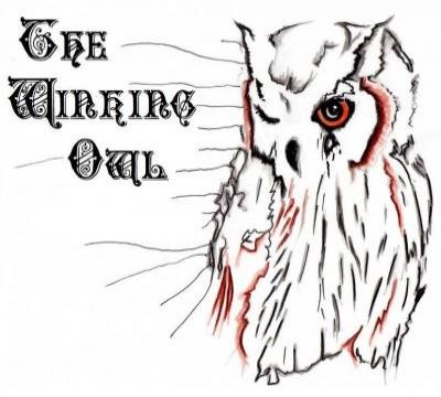 The Winking Owl - Through the Glass