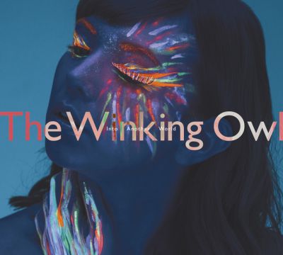 The Winking Owl - Into Another World