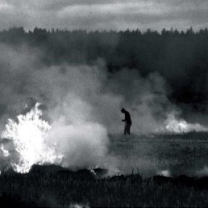 Northern Discipline - Burn-Beaten Soil