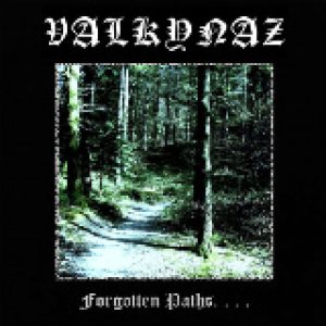 Valkynaz - Forgotten Paths. . . .