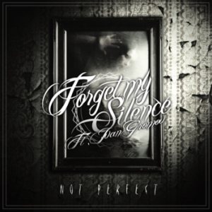 Forget My Silence - Not Perfect
