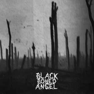 Black Boned Angel - Verdun