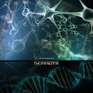 Senmuth - Энграмма