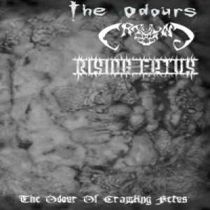 The Odours - The Odour of Crawling Fetus
