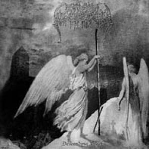 Asylum Phenomena - Descending Angels