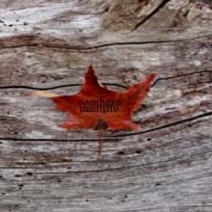 Forgotten Land - Samhain - Autumn