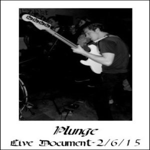 Plunge - Live Document-2/6/15