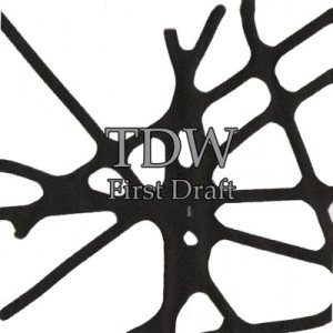 TDW - First Draft
