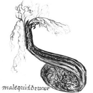 Veineliis - Malequiddrucer