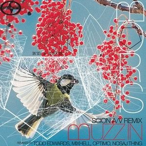 Boris - Scion A/V Remix: Buzz-In