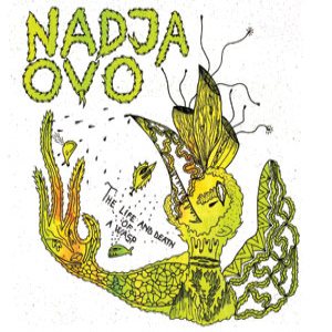 Nadja - The Life and Death of a Wasp