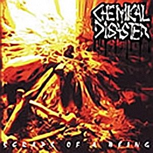 Chemical Disaster - Scraps of a Being