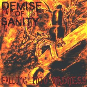 Demise of Sanity - Falling into Madness