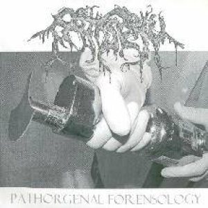 Patisserie - Pathorgenal Forensology