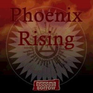 Seeds Of Sorrow - Phoenix Rising