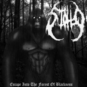 Stollo - Escape Into the Forest of Blackness