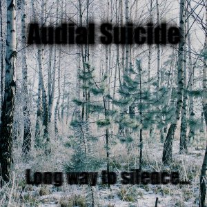 Audial Suicide - Long way to silence...