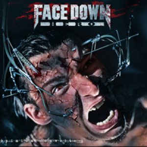 Face Down Hero - Opinion Converter