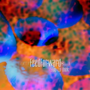 FeedForward - Stop to Think