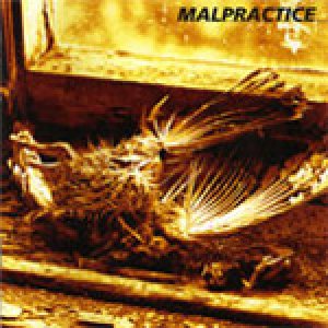 Malpractice - Of Shape and Balance