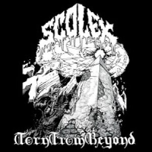 Scolex - Torn from Beyond