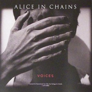 Alice in Chains - Voices