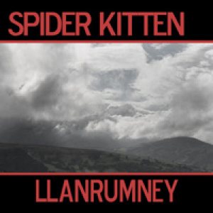 Spider Kitten - Llanrumney