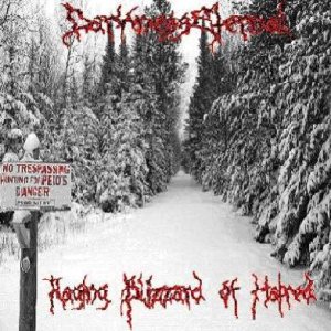 DarknessEternal - Raging Blizzard of Hatred