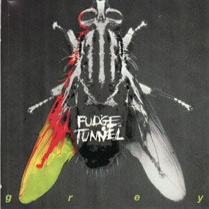 Fudge Tunnel - Grey