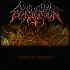 Afflictive Emasculation - Promo MMXIII