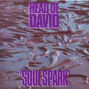 Head of David - Soul Spark