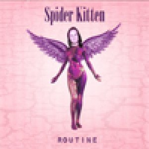 Spider Kitten - Routine