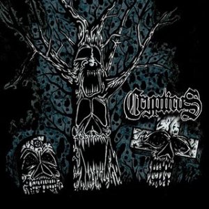 Crypticus - The Rites of Infestation
