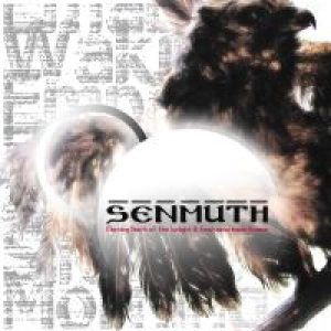 Senmuth - Morning Depth of the Sunlight and Emptiness