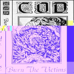 C.O.D. - Burn the Victims