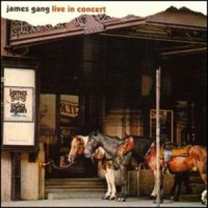 James Gang - Live in Concert