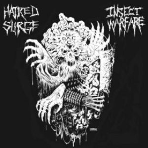 Hatred Surge / Insect Warfare - Insect Warfare / Hatred Surge