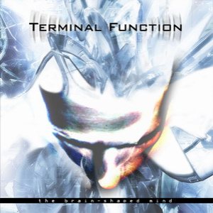 Terminal function - The Brainshaped Mind