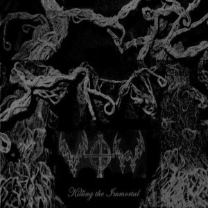 Vow - Killing the Immortal